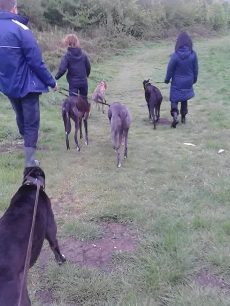 11210234 10205050990212168 260646332 n