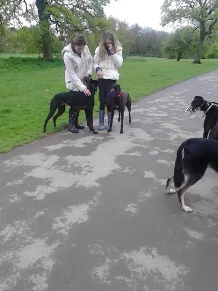 11210266 10205050988972137 141540401 n