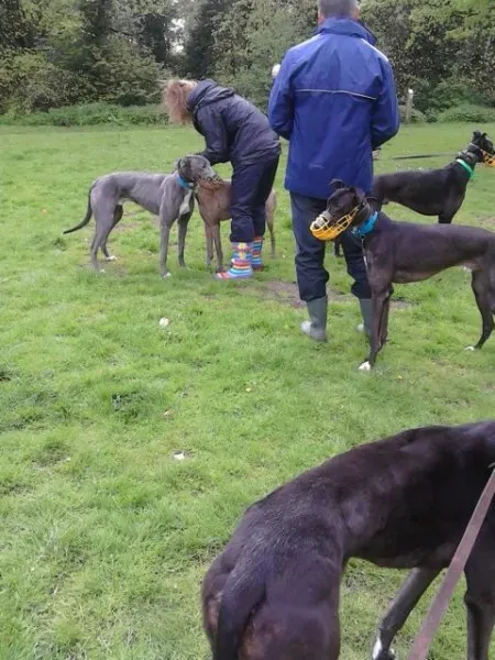 11210272 10205050992172217 1768166201 n