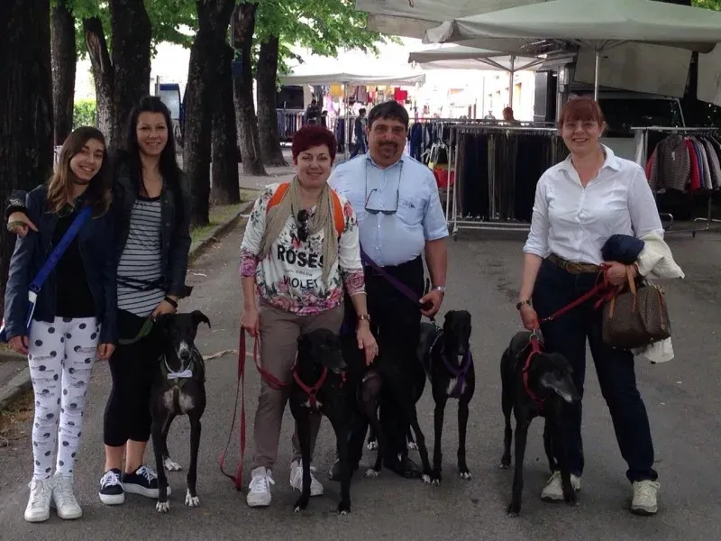 11212582 822532014497322 780310189909456811 o