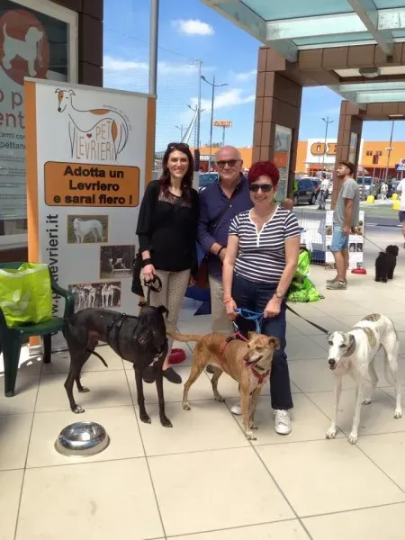 11214089 10205163464338616 4501223844085954730 n