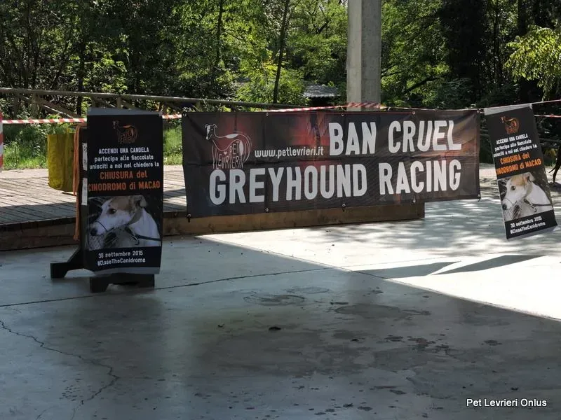 11214108 894617380622118 3923095812332719749 n