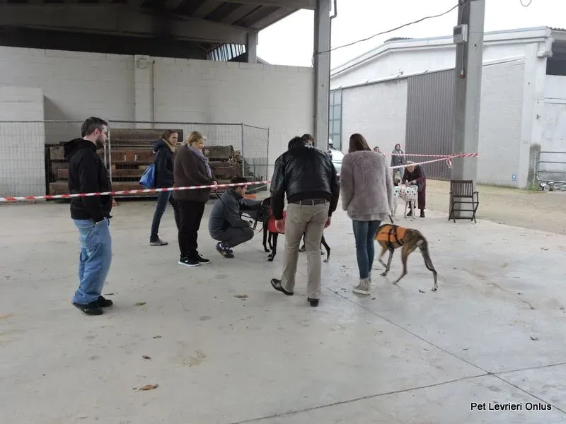 11215065 918532808230575 8057849801610797865 n