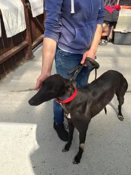 11215182 892041670879689 3787233065000795400 n