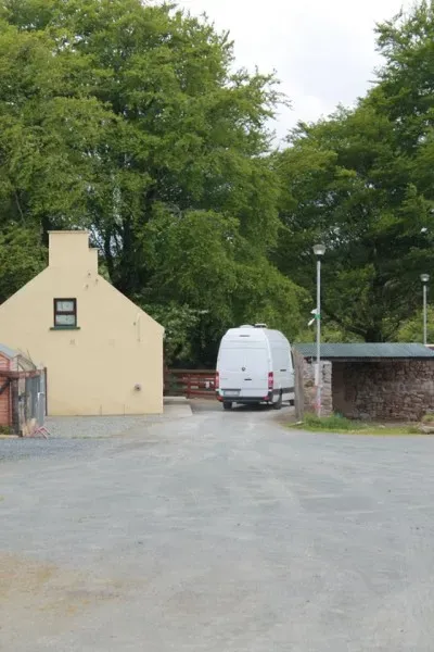 11215720 1014950348522664 2682820135857556845 n