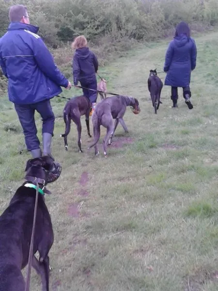 11216326 10205050990332171 688990501 n