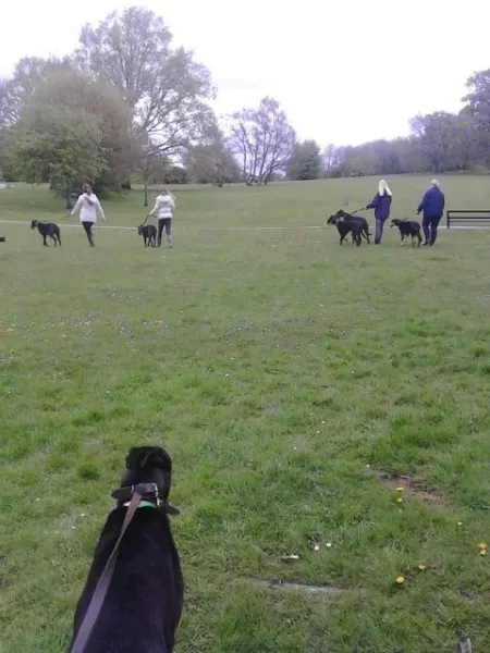 11216342 10205050989492150 78689310 n