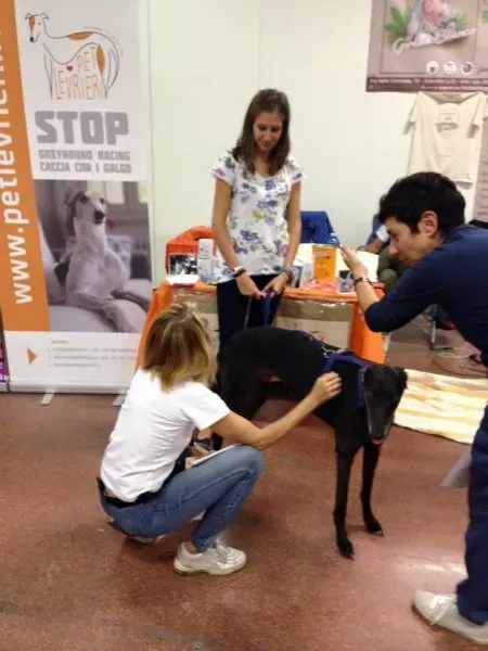 11216589 10205855110149329 7408361214926786582 n