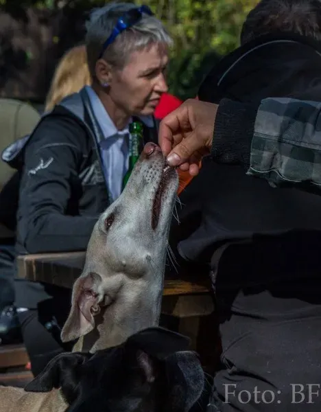 11217818 177495435923824 1904922754623138885 n1