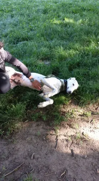 11218070 10207895018226068 7793894981584197362 n