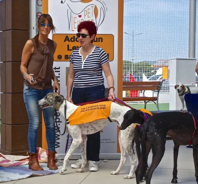 11218081 10202939886257451 6266711370990511532 o