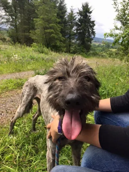 11218841 925249067536119 6351838000903077279 n