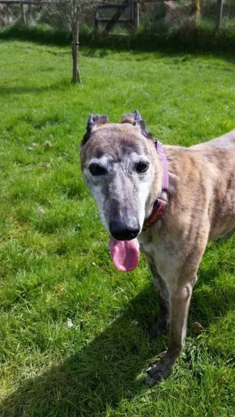 11218869 1026225420802394 1386686000373440468 n