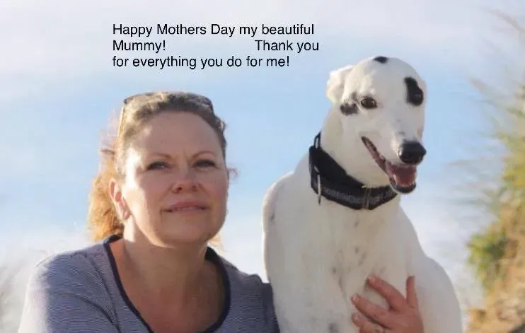 11219063 1646057002294508 9041673643182664084 n1