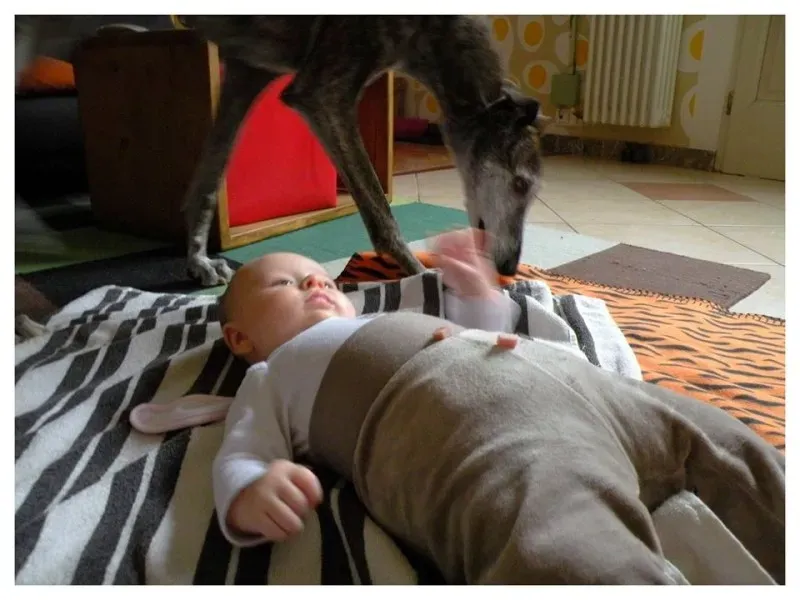 11219064 907289279354928 5686590692304957128 n