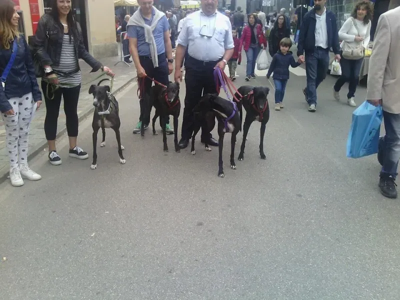 11219156 822532177830639 6809725142637492167 n