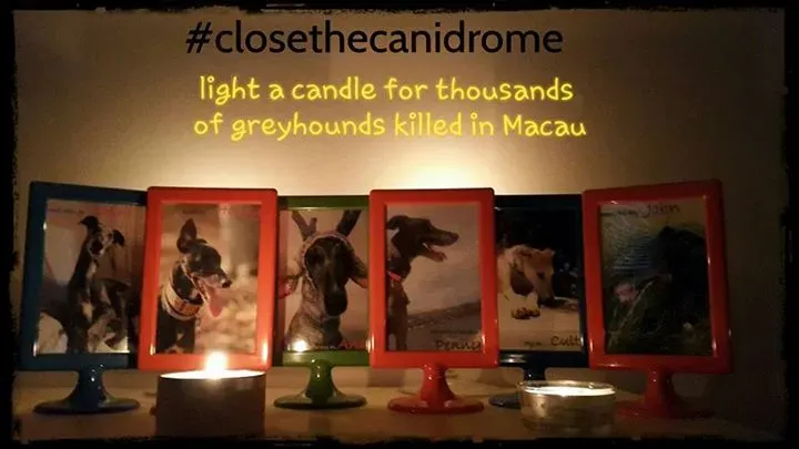 11219215 10153551920579034 6151010340556047375 n