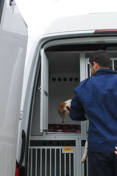 11219417 1014947901856242 7036431121254277984 n