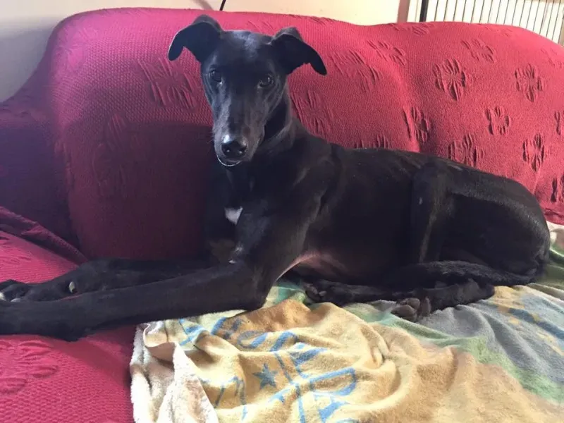 11219585 10208448074623467 188434860991282919 n