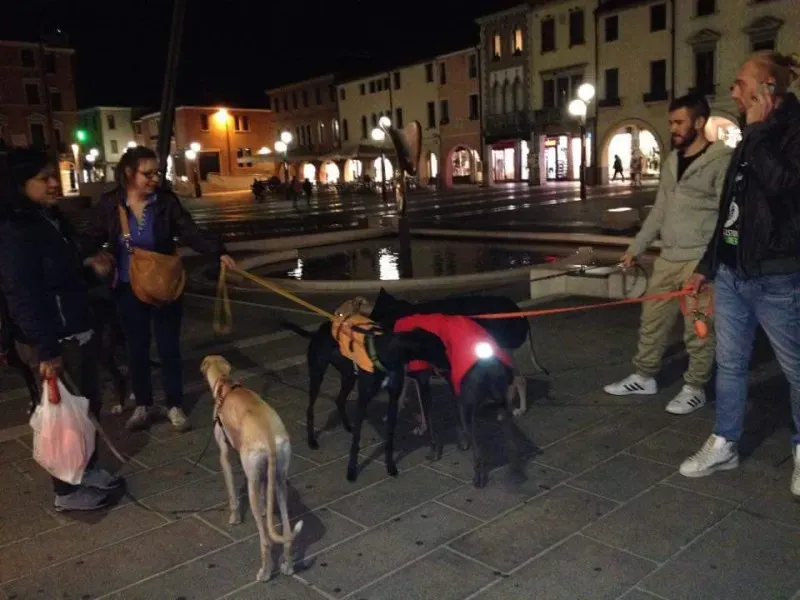 11220057 10206352295184064 178746955164076945 n