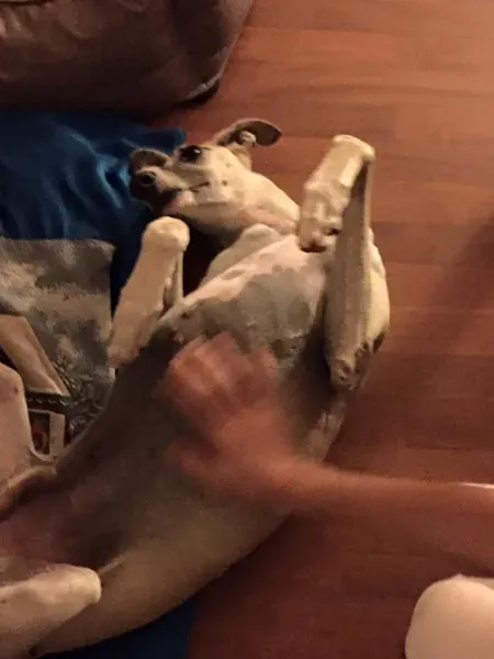 11220133 10203316392110226 6729669917281985918 n