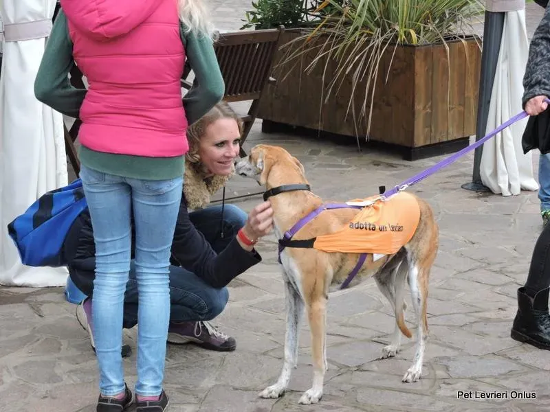 11220902 918535754896947 2802109674618410742 n