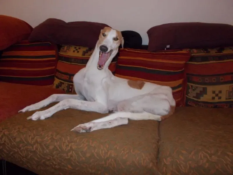 11220912 848727508544439 4042097599824321443 n