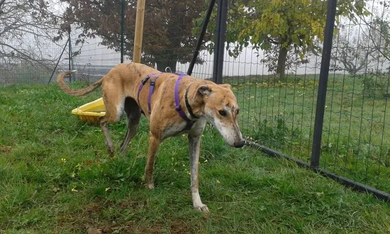 11221395 918412978242558 3144635703913865499 n