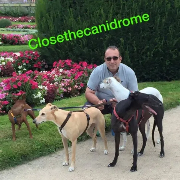 11221417 10205194165916035 3820968680178796680 n