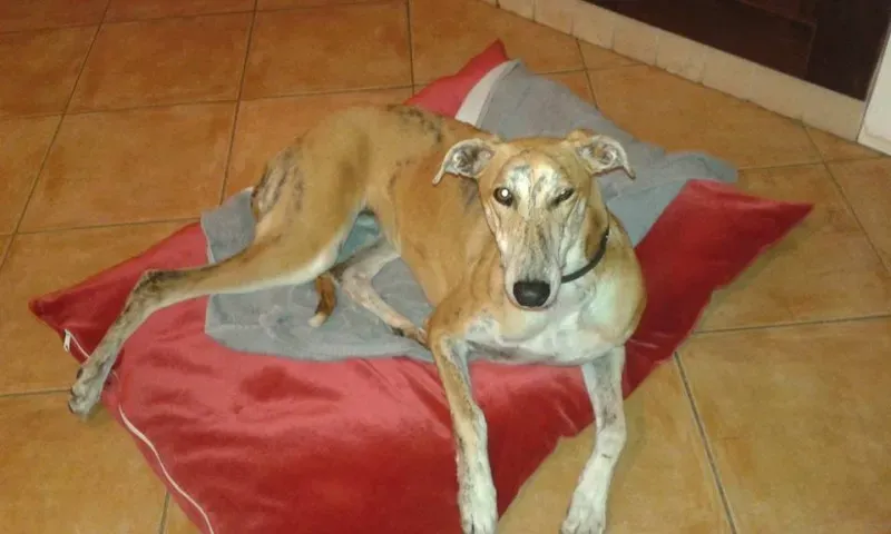 11221949 918286438255212 7282242795772160735 n