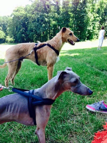 11222058 852753261482945 1899768117971089418 n