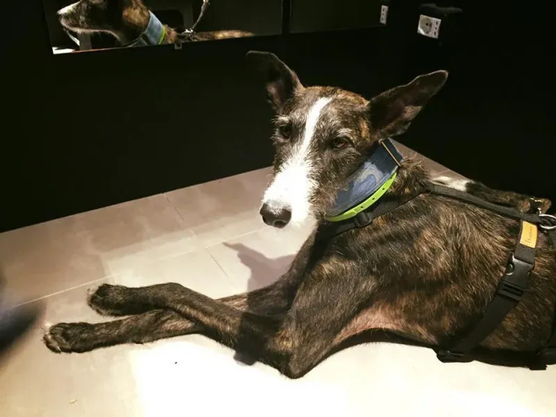 11223304 852822374801619 3221984308014412720 n