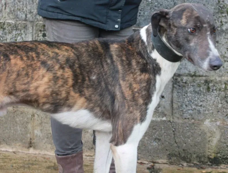 11223332 1117367464947618 8396387772493711360 o