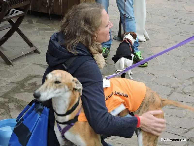 11223749 918536481563541 3454859100031520747 n