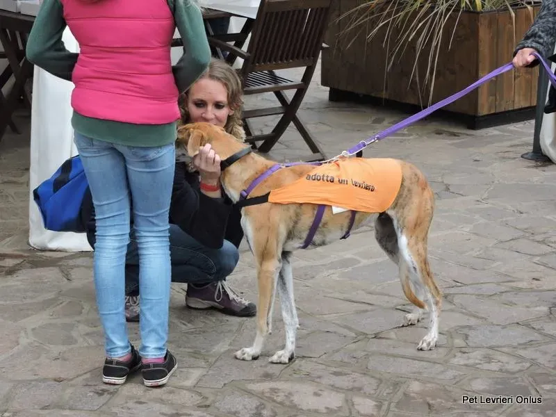 11223793 918535791563610 3813333678263369948 n