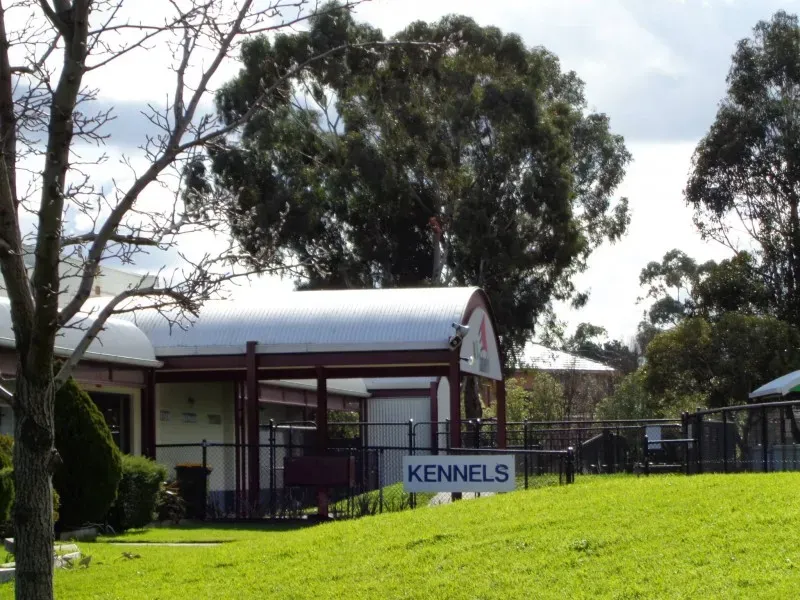 11224088 10153014517563354 7645187718878373726 o