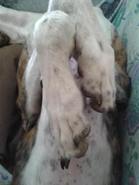 11224394 10204760150219938 2882959138343868876 o