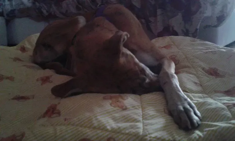 11224524 918286138255242 3574535004777293830 n