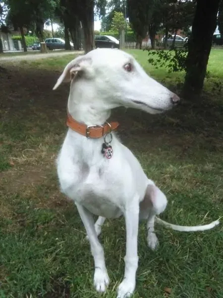 11224615 898375410246315 6091918170567180090 n