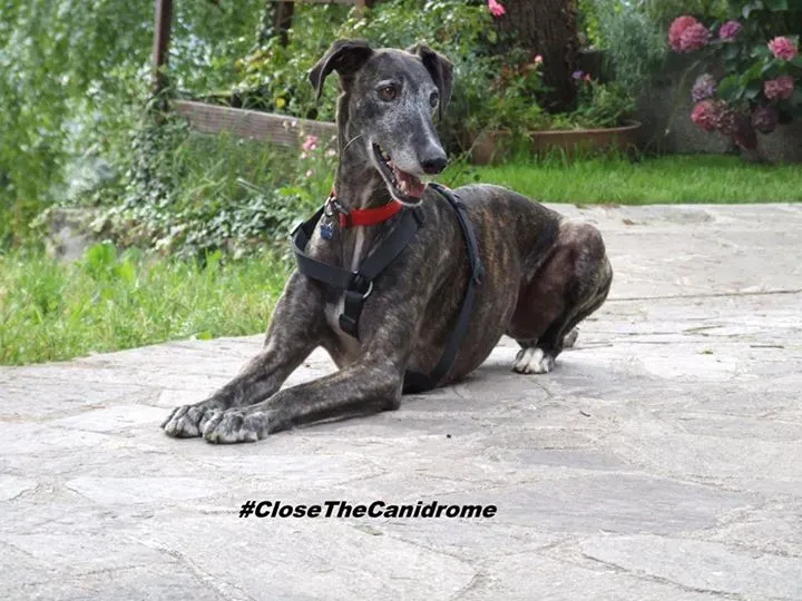 11224818 10206826397569846 1438958954528991949 n