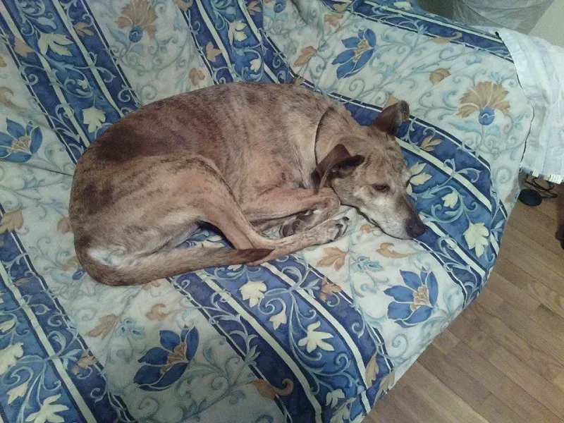 11224823 368146136725208 5688676091090118107 n