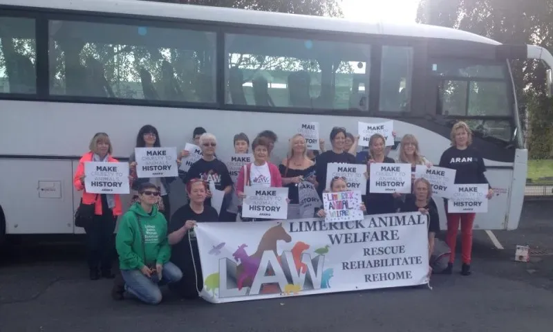 11224860 1087641577920207 2886940397415225470 n