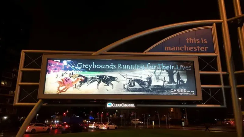 11225439 426595607535665 9132504107661464917 n