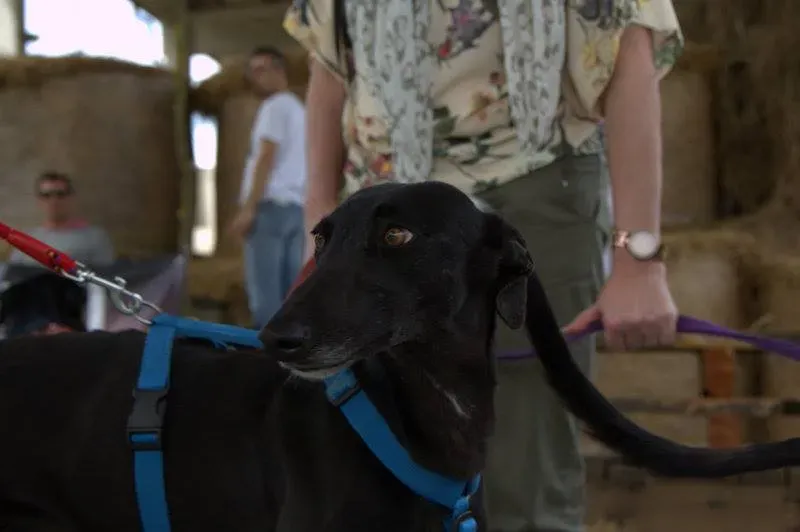 11225462 825208564229667 8084821968674588366 n