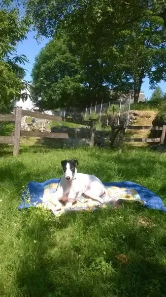 11226197 10207261970813247 3395618628311092566 n