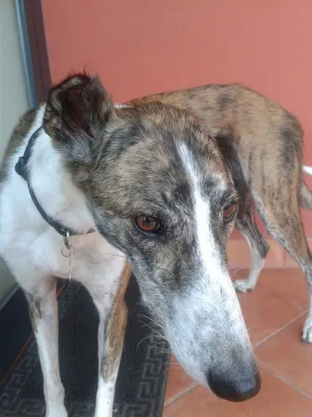 11227552 10204760152339991 6232902794540131267 n