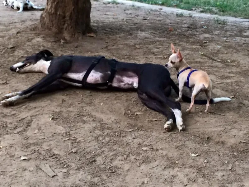 11227560 854340547983135 7946960529497946097 n