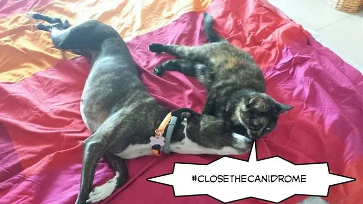 11227599 10207784756045181 6624564509543247207 n