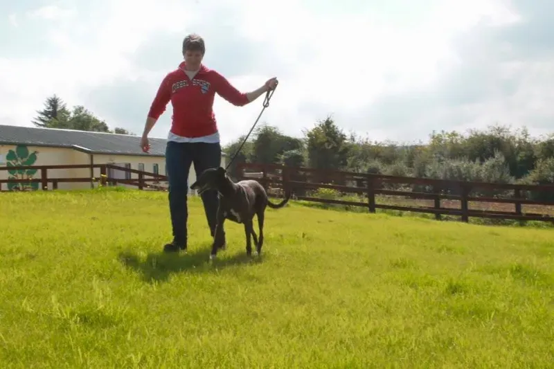 11227642 905010449590559 228550938626396965 n