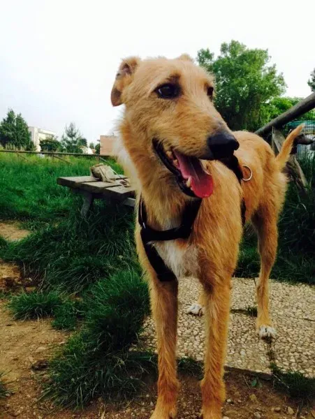 11227648 852784941479777 2984683672467298575 n